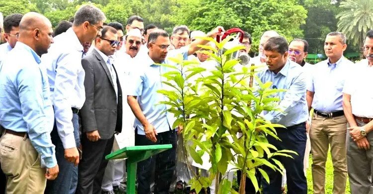 বিএনপির প্রতিষ্ঠাবার্ষিকীতে জিয়া উদ্যানে বৃক্ষরোপণ করলেন তারেক রহমান